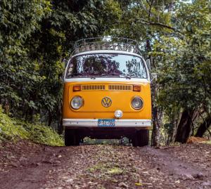VWs in the Valley Fall Show