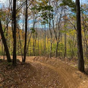 Papertown Trail Races 2026