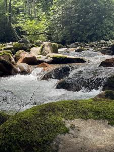 Guided Hike: Big East Fork & Shining Creek Sampler
