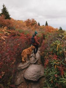 Haywood Hiking Challenge 2026